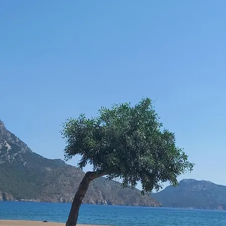 Dedemuem Adrasan * Kumluca